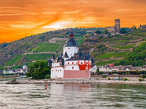 Burgen & Wein am Rhein Rad & Schiff MS Switzerland