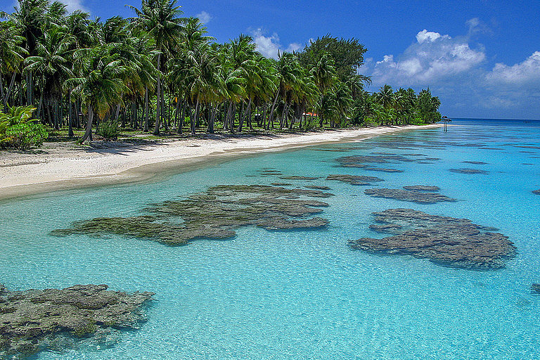 Tropischer Sandstrand mit Palmen, Korallenriffen und klarem türkisblauem Meer.