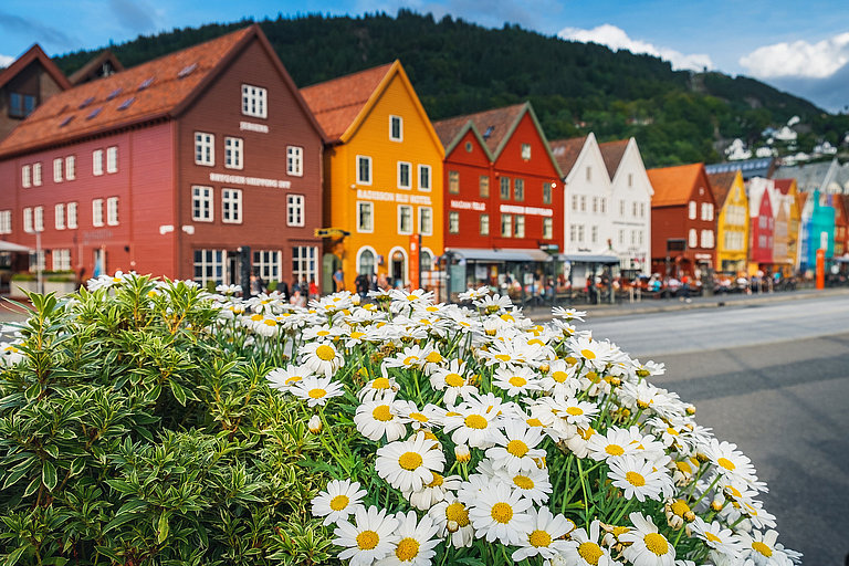 Bunte Holzhäuser am Bryggen-Hafen in Bergen mit Blumen und Bergkulisse.