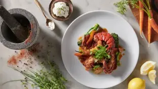 Gericht auf weißem Teller mit Kräutern, Sauce, frischem Gemüse und daneben Zitronen von oben.