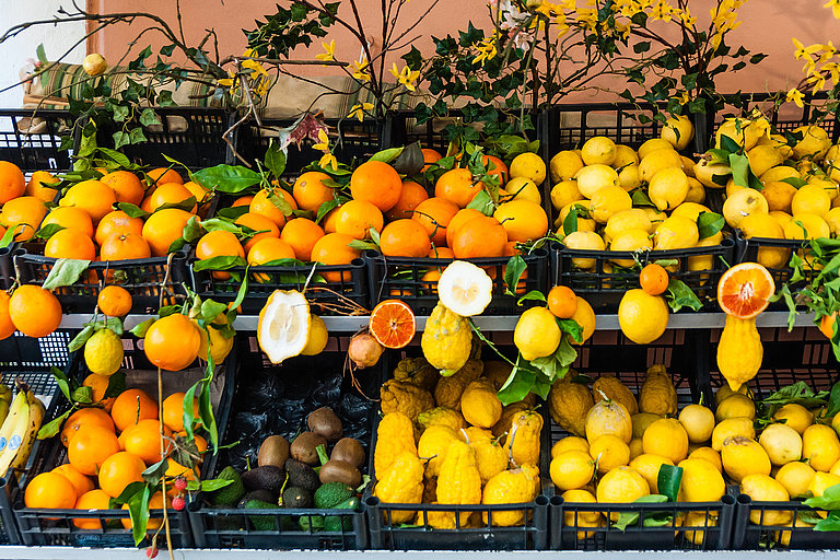 Frisches Obst am Obstmarkt in Taormina; Sizilien; Frische Zitrusfrüchte auf einem Marktstand mit Zitronen, Orangen und Grün.
