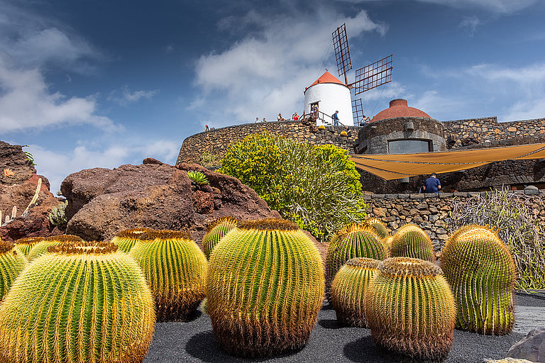Jardín de Cactus, Lanzarote Weinreben vor historischer Stadtmauer mit Kirche und dramatischem Himmel.