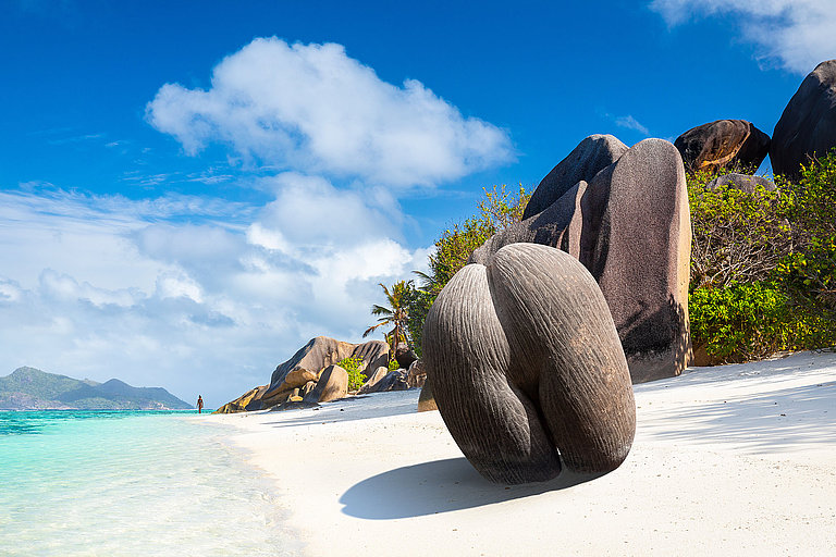 Coco de Mer am Strand von Praslin auf den Seychellen.