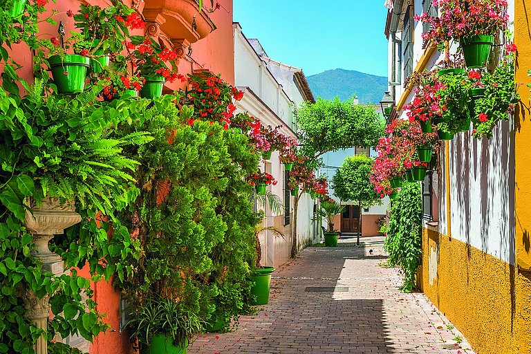 Schmale Gasse mit weißen Häusern, Blumen, Pflanzen und gelben Akzenten.
