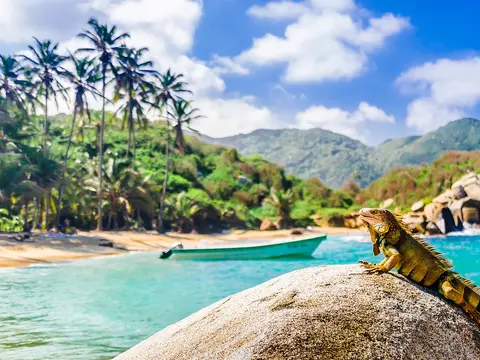 Karibische Inseln & Natur pur in Panama Le Bellot