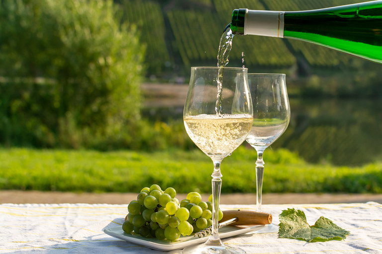 Das Bild zeigt eine idyllische Szene in einem Weinanbaugebiet mit einem Glas Weißwein und Trauben.