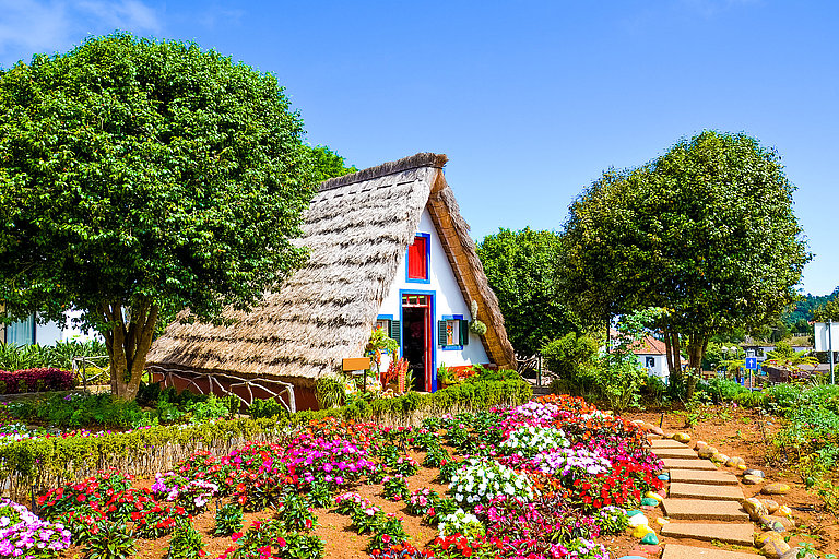 Amazing traditional houses in Santana, Madeira, Portugal. Wooden Bunter Blumengarten mit kleinen Bäumen und blauem Tor vor sonnigem Himmel.