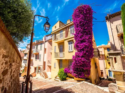 Cannes' Altstadt Le Suquet mit strahlend blauem Himmel und pinken Kletterblumen an den Fassaden.