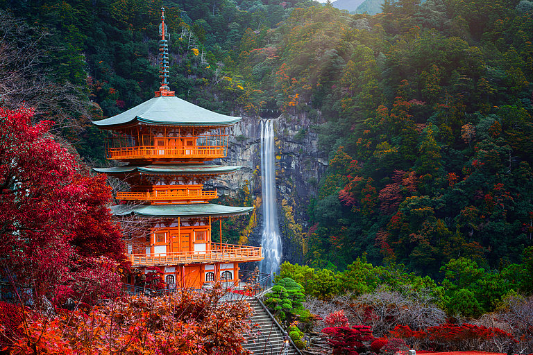 Japanischer Tempel umgeben von herbstlichen Bäumen und einem Wasserfall im Hintergrund.