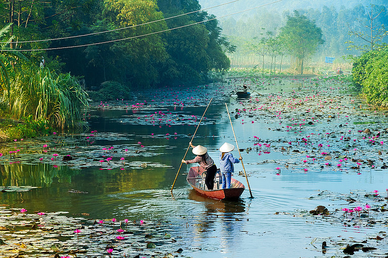 Einsames Boot in Hanoi schwimmt einen Fluss voller Blumen entlang.