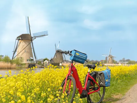 Windmühlen, Gouda-Käse & Delfter-Blau MS Normandie