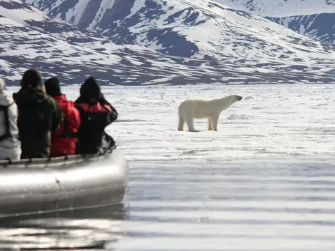 Expedition Spitzbergen – Eisbären & Packeis MS Ortelius